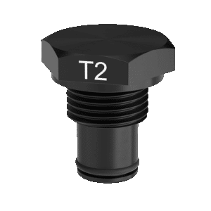 T2