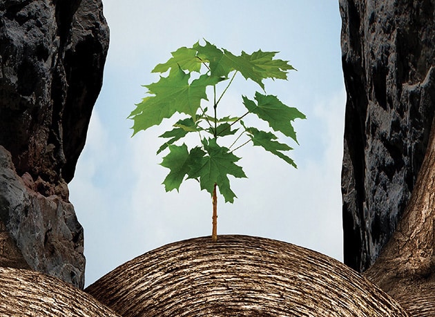 Mission & Vision - MP Filtri