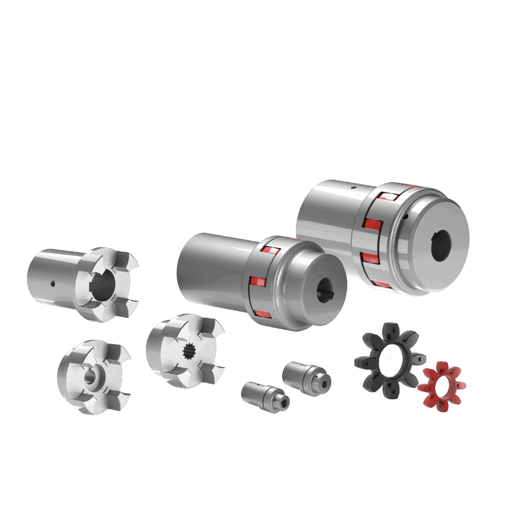 SGEA- SGEG – SGES -EGE - Image 1 of 4